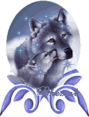 mère loup et son petit